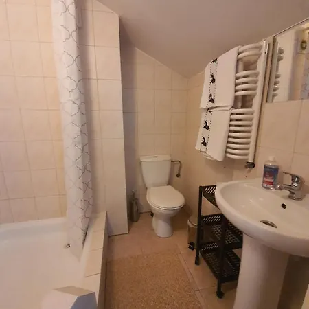 Siedlisko Nad Sapina 招待所